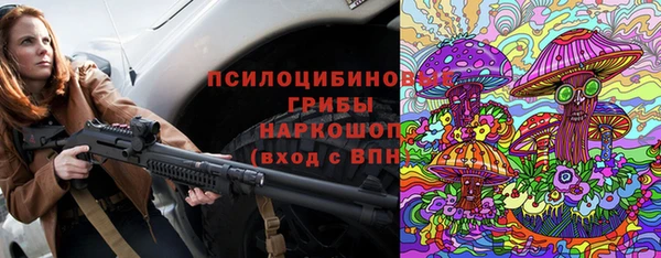 прущие крисы Арсеньев