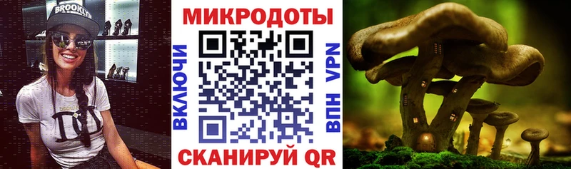 Галлюциногенные грибы прущие грибы  кракен ТОР  Славск  купить  сайты 
